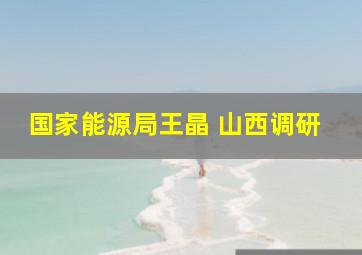 国家能源局王晶 山西调研